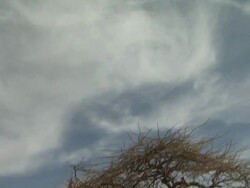 Maasai Ceremony - Warriors jumping up and down, dancing, low angle view Stock Footage