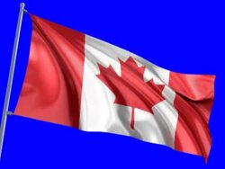 Canadian Flag Stock Footage