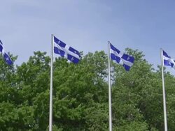 Quebec Flags Stock Footage
