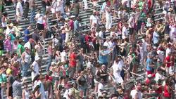 CLEAN : Spanish bull run comes to America News Clip