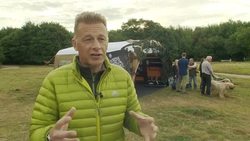 Warning that almost a third of dogs in UK carry ticks News Clip