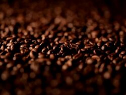 Coffee beans Stock Footage