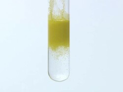 Lead (II) iodide precipitate, formed as potassium iodide is dripped into lead (II) nitrate solution Stock Footage