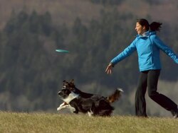 HD Super Slow-Mo: Dogs Running After Plastic Disk Stock Footage