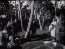 WORLD'S WEALTHIEST BRIDEGROOM News Clip