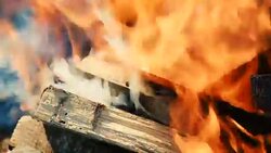 burning firewood, close-up Stock Footage