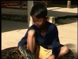 A seven-year old boy in the Kandal province of Cambodia has a rather unusual best friend. Koun Samang has been spending time with his pet reptile since he was born. They are the same age and have hardly been separated in their whole lives. Instructional Video