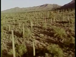 WA track over flat scrubland, mountains in background, USA Stock Footage