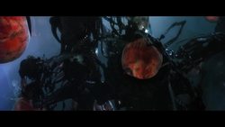 What Are Microglia? Instructional Video