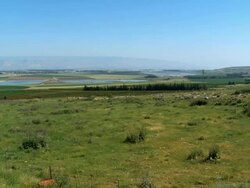 WS View of agricultural northern and Jezreel Valley / Gilboa, Israel  Stock Footage