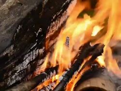 Bonfire Stock Footage