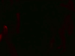 Dancing at Night Club. Time lapse. Stock Footage