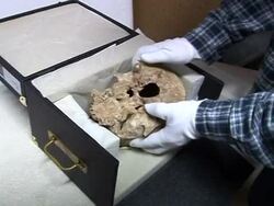 VOICED: Historic treasures on the move in Paris News Clip