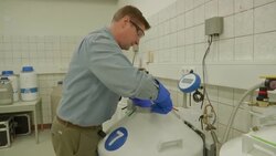 Fate of the Northern White Rhino now in the hands of scientists News Clip