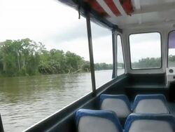Boat Ride on River (PAL) Stock Footage