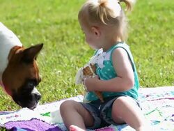 Lttile girl with pet dog and ice cream cone Stock Footage