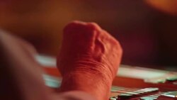 Steel Guitar Stock Footage