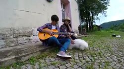 Young couple in love playing acoustic guitar in the park Stock Footage