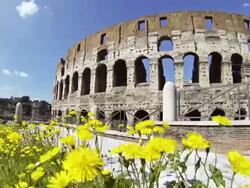 Coliseum at summer in Rome Stock Footage