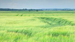 Praderas Instructional Video