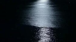 Moonlight on Sea Stock Footage