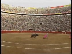 MEXICO: SUCCESS OF SPANISH FEMALE BULLFIGHTER LAUNCHES DEBATE Instructional Video