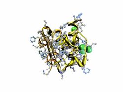 Model of Human Insulin - PAL Stock Footage