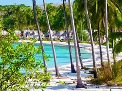 Bungalow on the tropical beach Stock Footage