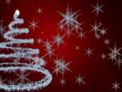 Christmas tree background Stock Footage