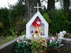 MS PAN Small white stone church looking structure surrounded by flowers / Lago Llanquihue, Region de Los Lagos, Chile Stock Footage