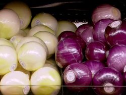 CU Shot of packaged onions in supermarket / Mall of America Minneapolis, Minnesota, United States Stock Footage