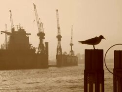 WS View of shipyard at foggy climate / Hamburg, Hamburg, Germany Stock Footage