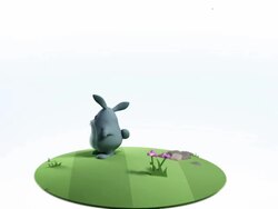 emergence of the forest Stock Footage