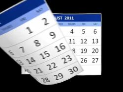 Year 2011 Calendar with alpha channel Stock Footage