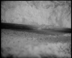 A PINCH OF SALT News Clip