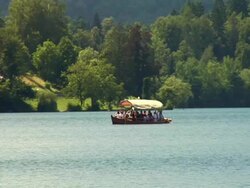 HD: On the lake of Bled Stock Footage