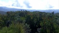 CLEAN : FILE:Mount Kenya insurmountable due to climate change News Clip