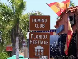 Little Havanah Stock Footage