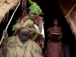 MS Shot of batwa tribe shows  native dance. Dresed in aboriginal gorilla costumes and clothing AUDIO / kigez, kabale, uganda Stock Footage