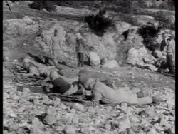 Jordan's Arab Guerrillas News Clip