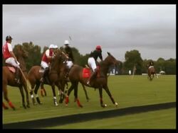 Polo match being played and spectators in stand, Guards Polo Club, Windsor, UK. 2007; short sequence. Stock Footage