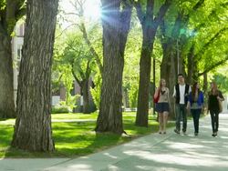 University students walk on campus Stock Footage