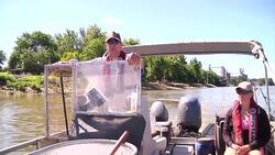 Scientists measure extent of Asian carp invasion in US rivers News Clip