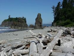 HD video Sea stacks and shoreline Olympic National Park Stock Footage