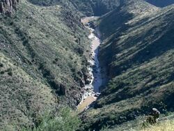 Salt Canyon Arizona foliage and Salt River Stock Footage