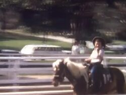 Riding Pony 1960's Stock Footage