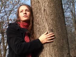 HD: Hugging A Tree Stock Footage