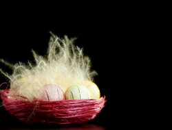 Easter Basket Stock Footage