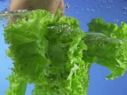 Lettuce Splashing Into Water (Super Slow Motion) Stock Footage