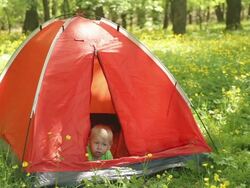 kid in the tourist tent Stock Footage